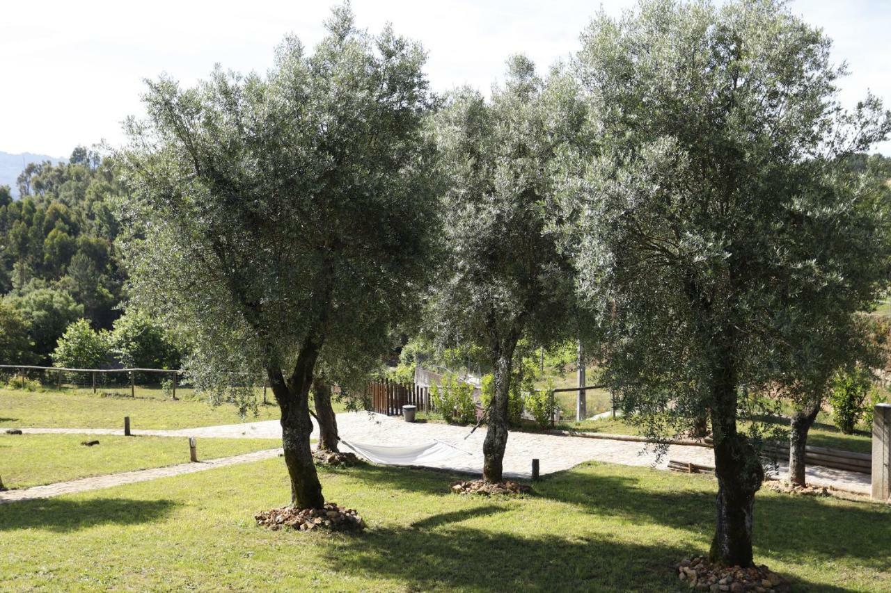 Ternaldo Agroturismo & Relax Arco de Baulhe Zewnętrze zdjęcie